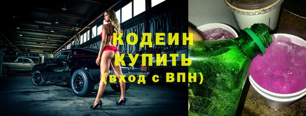 индика Ростов