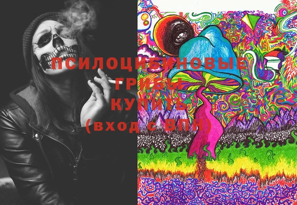 спайс Алексин