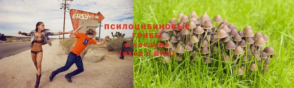 спайс Алексин