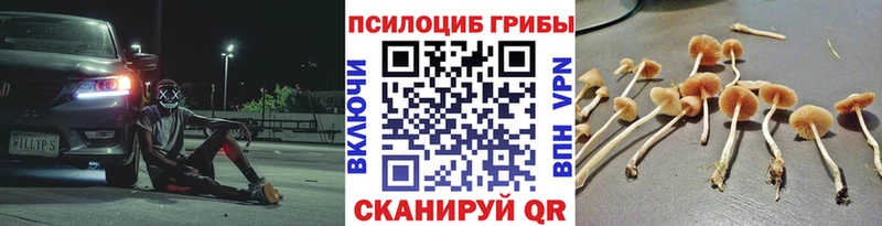 Псилоцибиновые грибы Magic Shrooms  Апатиты 